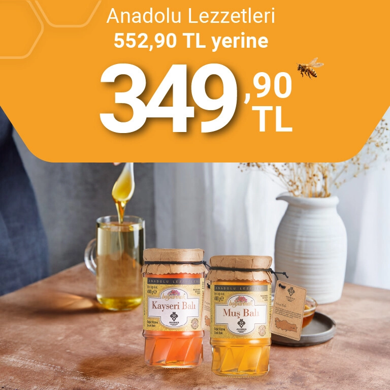 anadolu lezzetleri tek fiyat