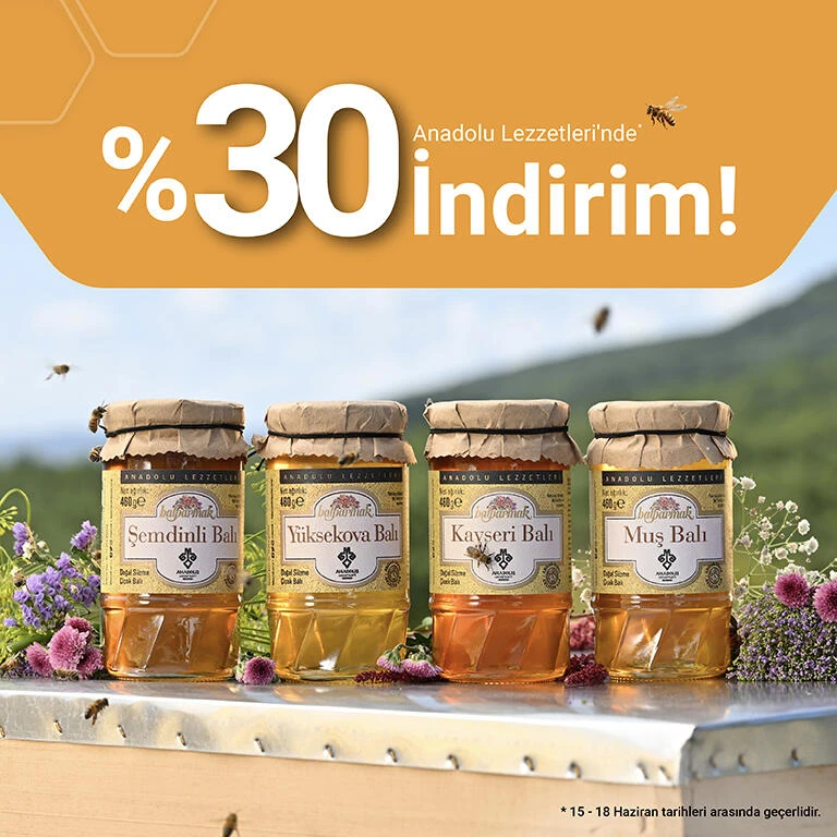 15-18 Haziran anadolu lzt