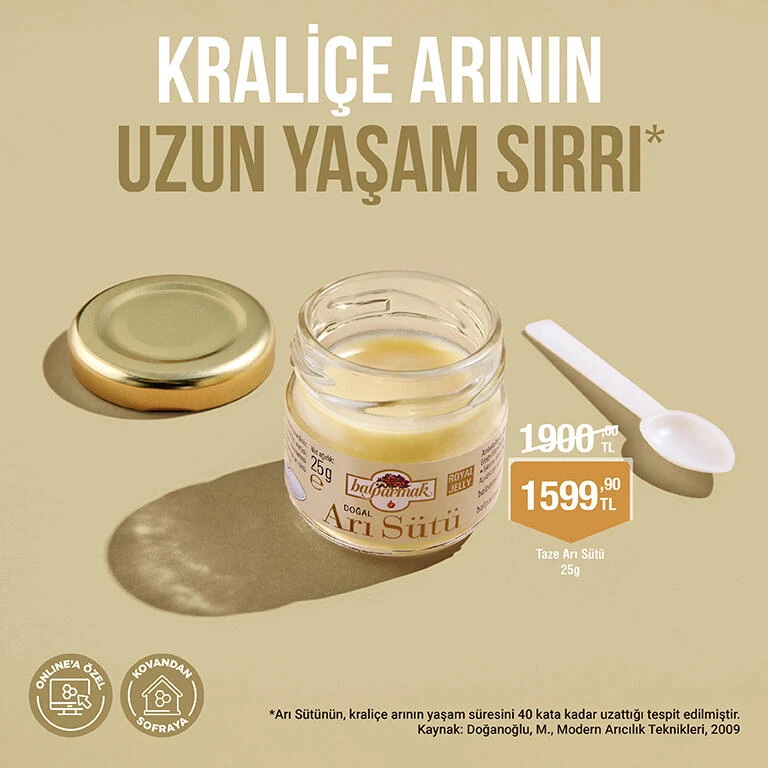 arı sütü revize 2