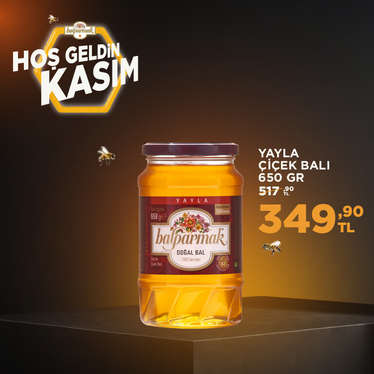 650 yayla kasım