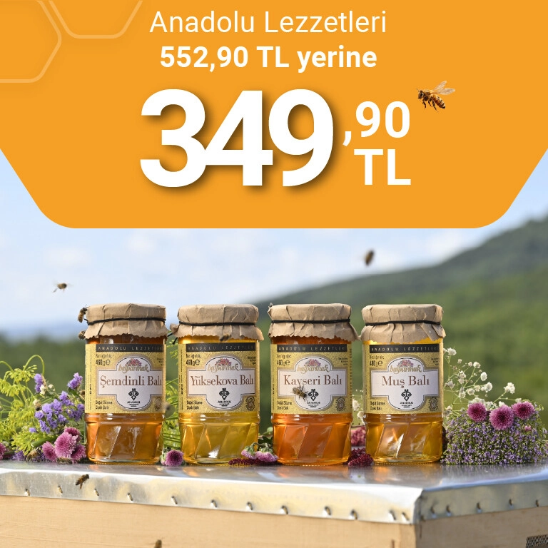 anadolu lezzetleri tek fiyat