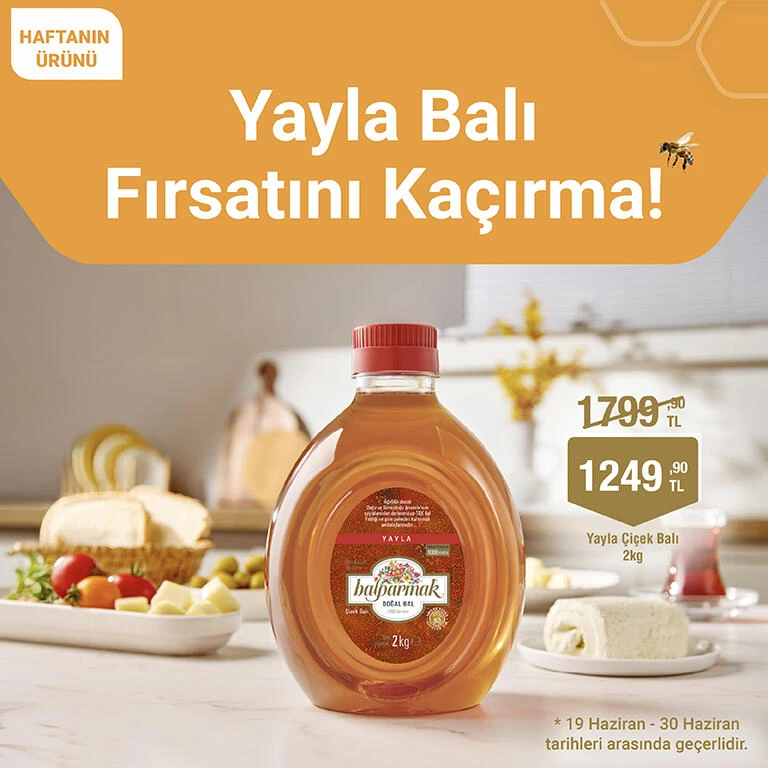 2 kg yayla 19-30 haz.