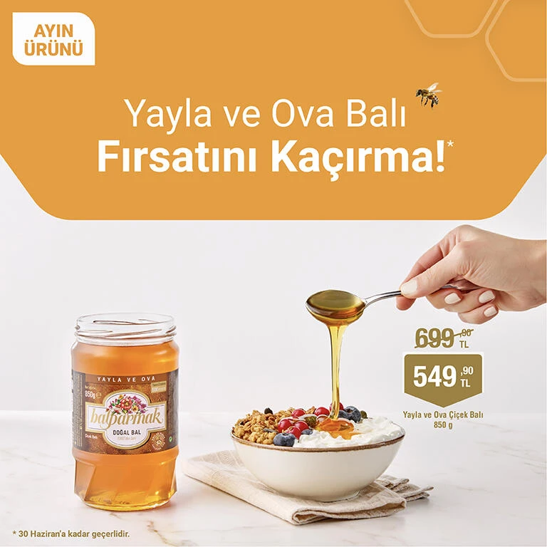 yayla ova 850 haziran