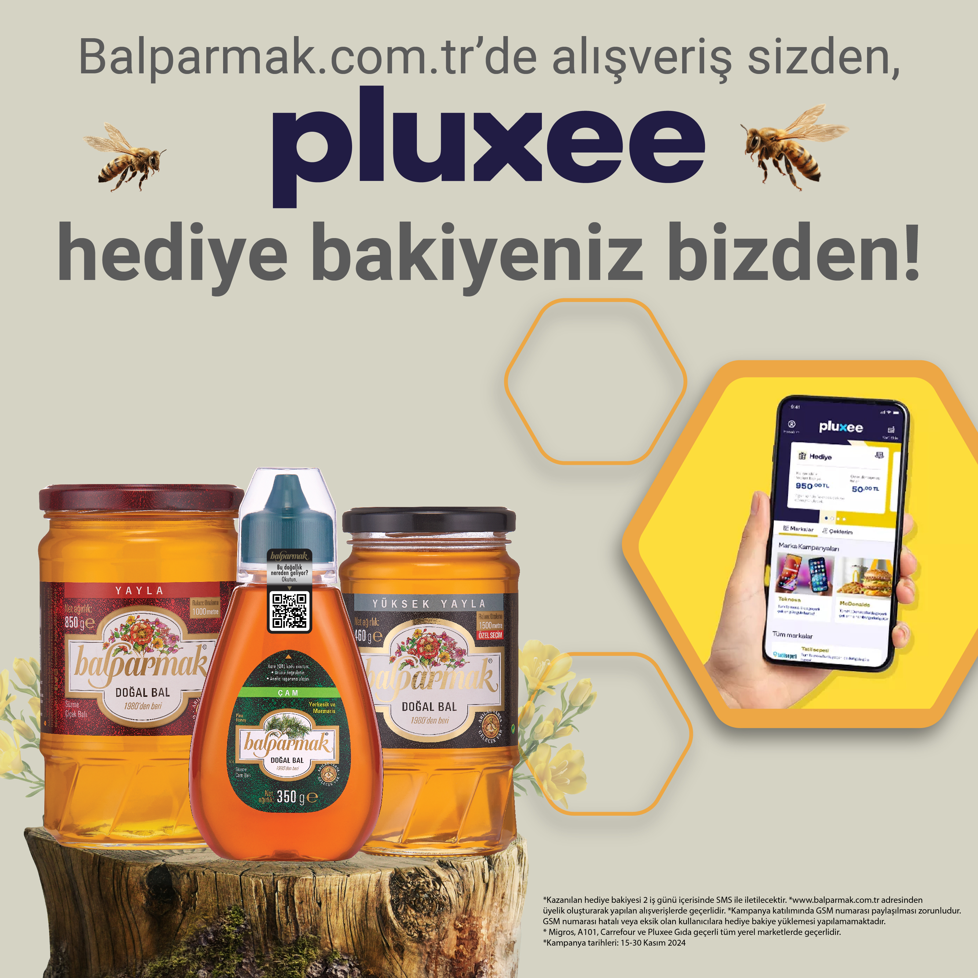 Ballı Kasım Pluxee Gift