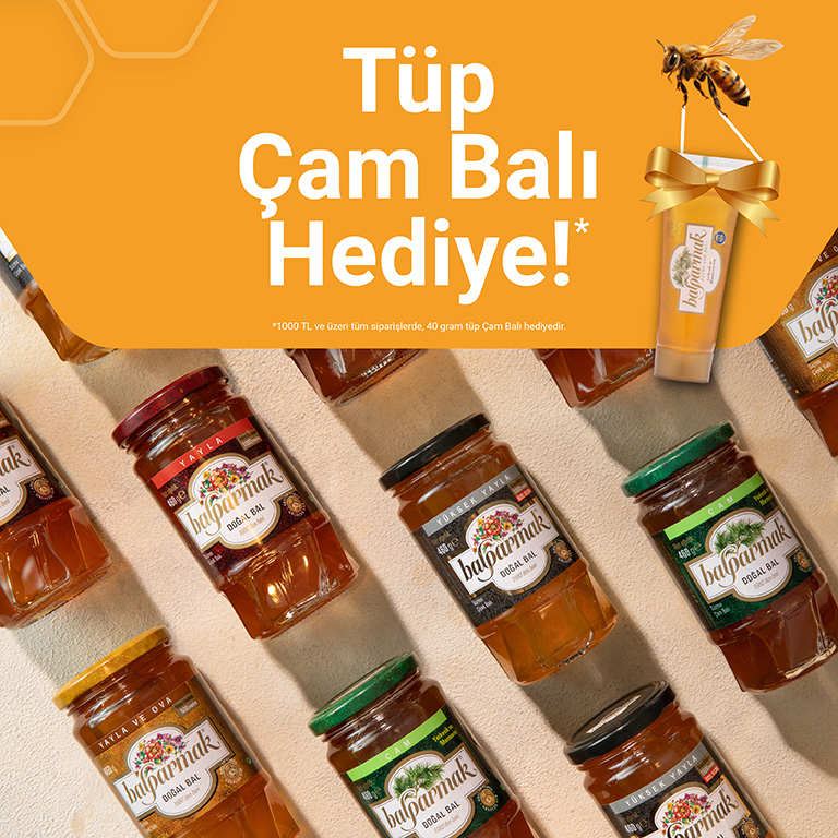 40 g çam hediye