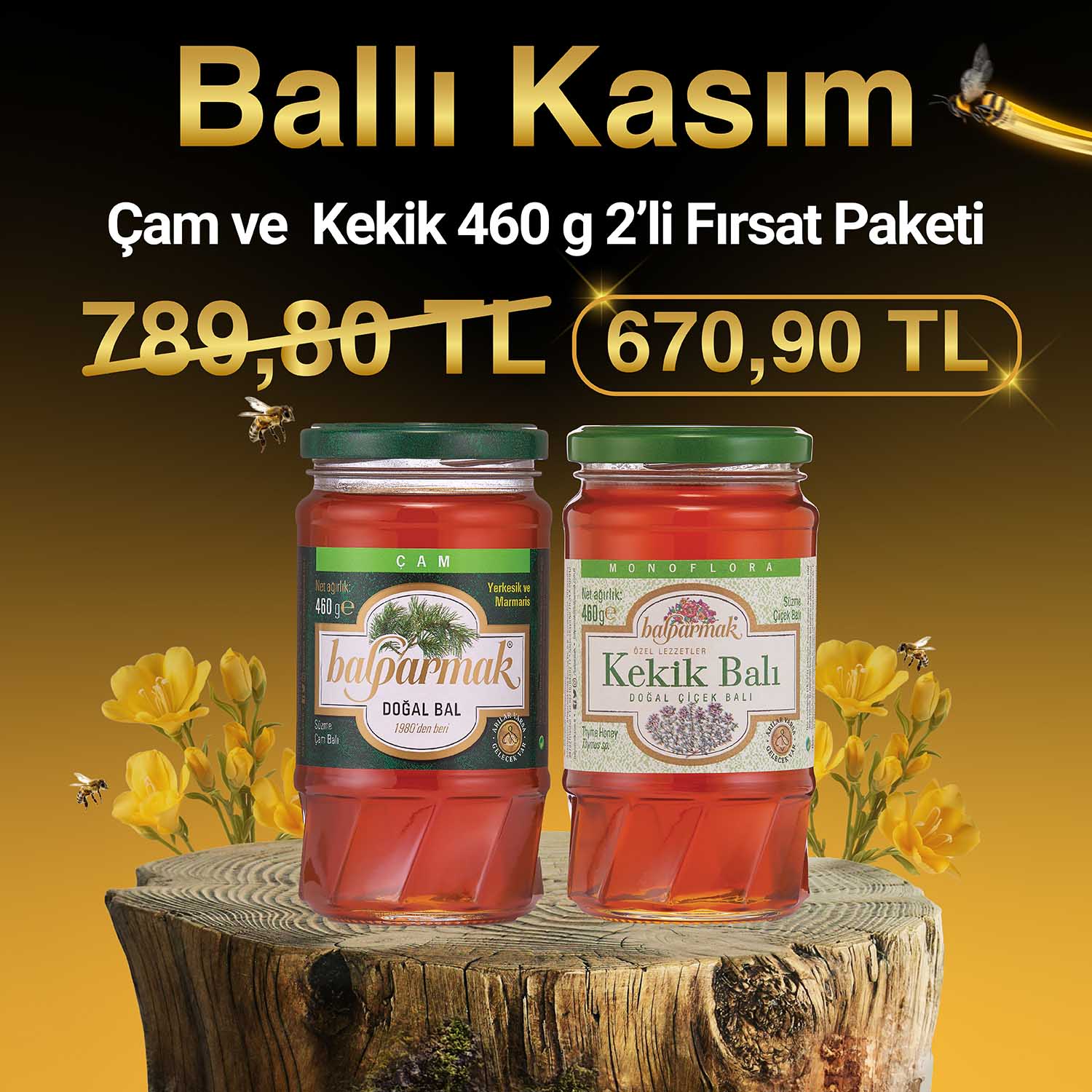 Ballı Kasım Çam + Kekik Balı