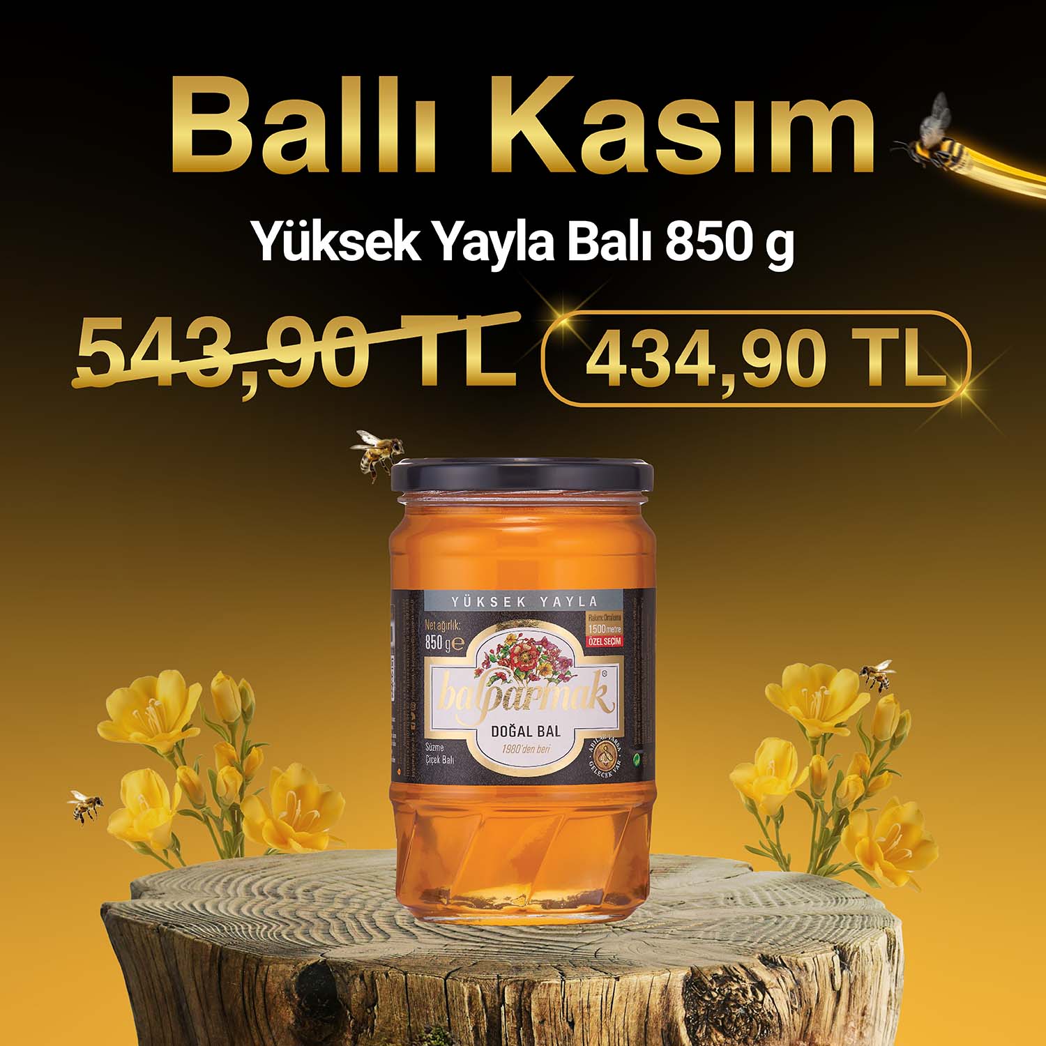 Ballı Kasım 850 g Yüksek Yayla